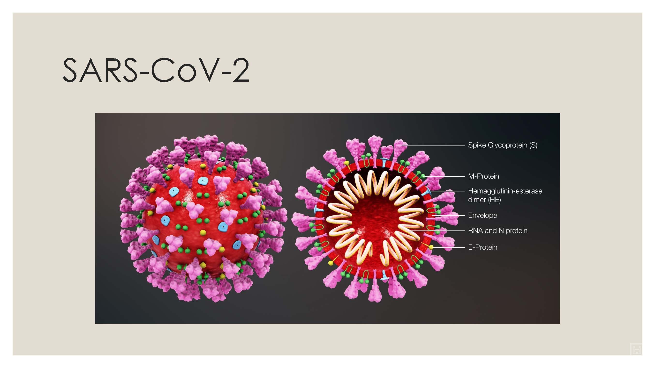 Presentation covid - WX_Page_05.jpg