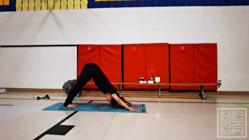 WeChat Image_20221115233424.jpg