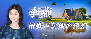 李燕 滑铁卢房地产经纪