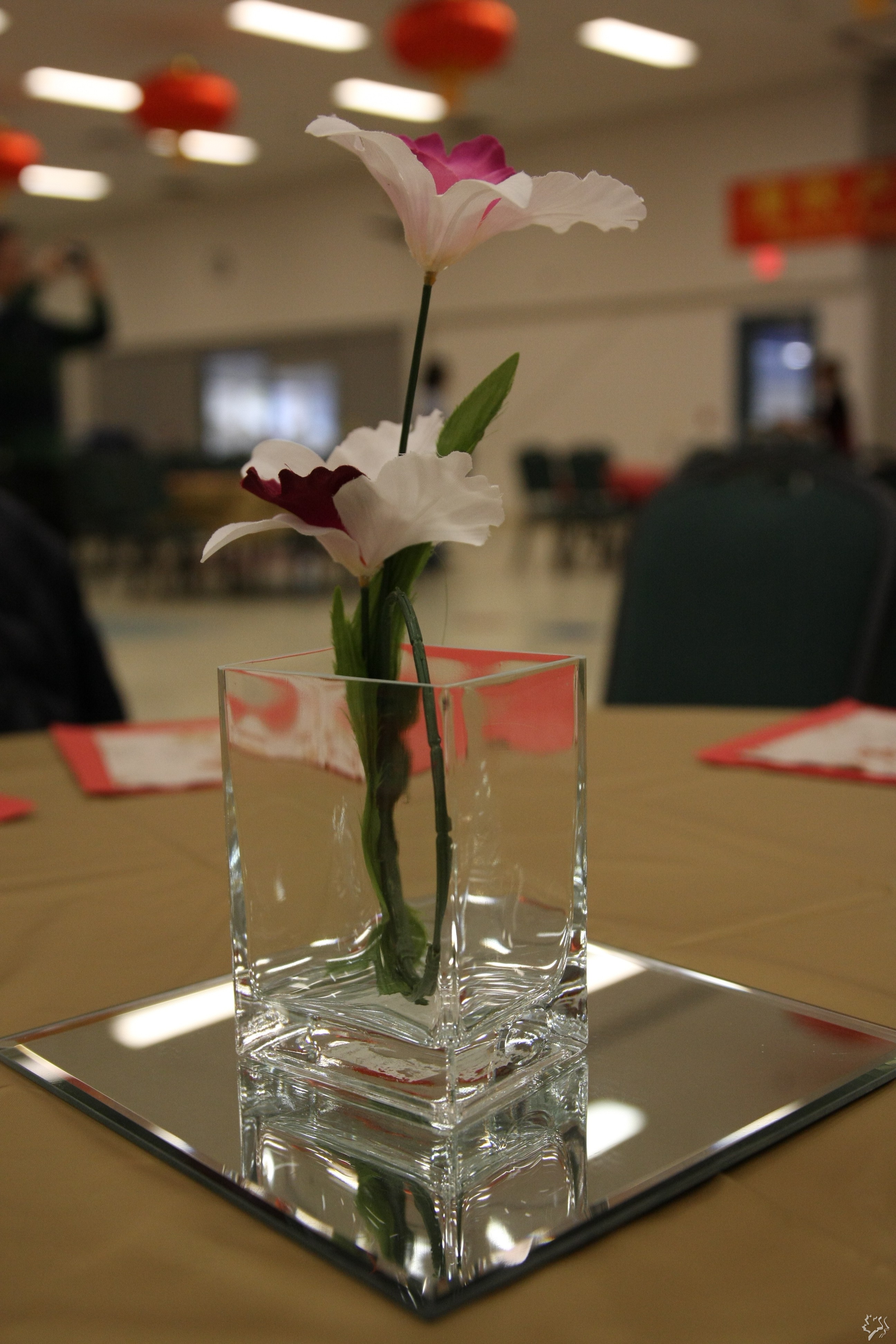 IMG_5831.JPG