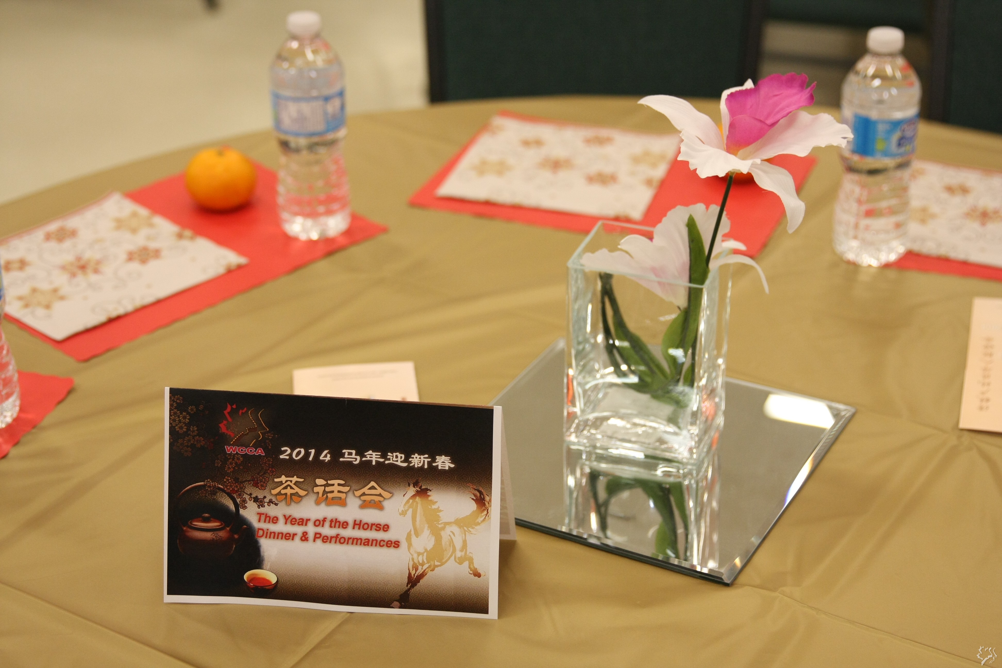 IMG_5877.JPG