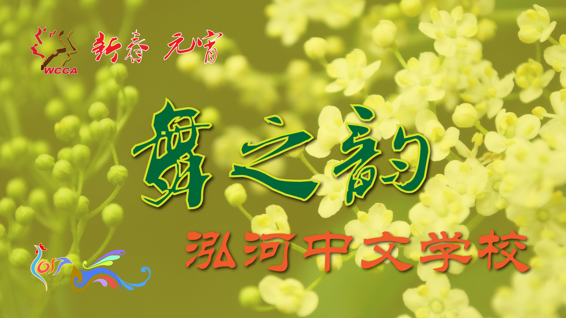 4.9 舞之韵.png